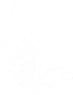 Eagle Eye Ltd Logo